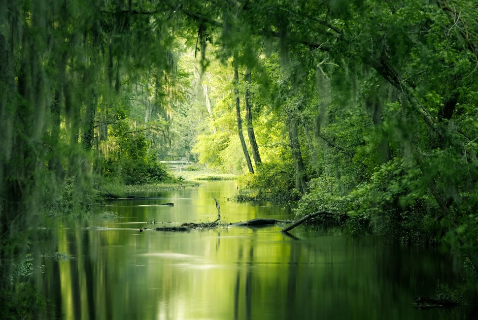 Augusta Riverwalk